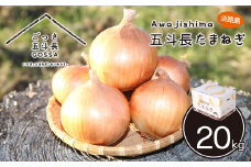 五斗長たまねぎ 20kg（20kg箱×1）　淡路島産玉ねぎ
