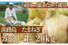 【新たまねぎ】今井ファームの淡路島たまねぎ「かくし玉」20kg【発送時期2026年4月下旬～5月頃】
