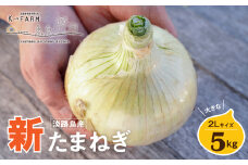 【新たまねぎ】淡路島たまねぎ 大きな2Lサイズ 5kg【発送時期：2026年3月中旬～6月上旬頃】