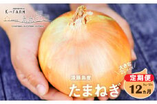 【定期便12ヶ月】淡路島たまねぎ 大きな2Lサイズ 5kg　玉ねぎ 玉葱 オニオン
