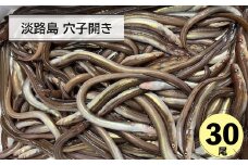淡路島 穴子開き30尾