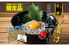 淡路島の生しらす沖漬け（50g×10パック入）