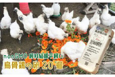 nonGMO飼料給餌平飼い　烏骨鶏の卵20個