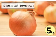 淡路島玉ねぎ「島のめぐみ」５キロ