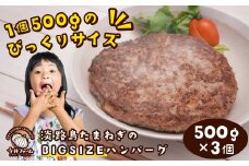 淡路島たまねぎのBIG SIZEハンバーグ 500g×3個