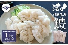 活〆淡路島産 鱧 （はも） 骨切り 【鮮度自慢】 1kg（500ｇ×2袋） 冷凍