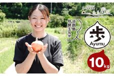 淡路島たまねぎ 歩-AYUMU- 10kg