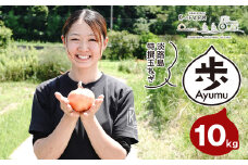 淡路島たまねぎ 歩-AYUMU- 10kg