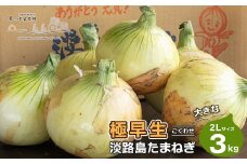 【極早生たまねぎ】淡路島たまねぎ 大きな2Lサイズ 3kg