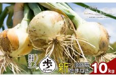【新たまねぎ】淡路島たまねぎ 歩-AYUMU- 10kg【発送時期：2026年3月～6月上旬頃】