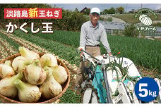 【新たまねぎ】今井ファームの淡路島たまねぎ「かくし玉」 5kg【発送時期2026年4月下旬～5月頃】