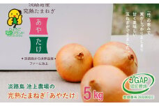 淡路島　池上農場の完熟たまねぎ「あやたけ」5kg