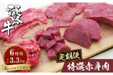 【定期便6カ月】淡路牛 特選赤身肉定期便