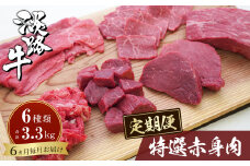 【定期便6カ月】淡路牛 特選赤身肉定期便