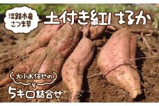淡路市産さつま芋「土付き紅はるか」大小お任せの5キロ詰合せ