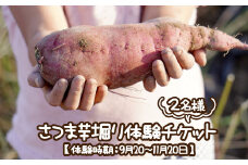 さつま芋堀り体験チケット2名様 【体験時期：9月20～11月20日】
