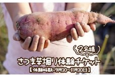 さつま芋堀り体験チケット2名様 【体験時期：9月20～11月20日】