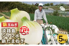 【新たまねぎ】【訳あり】今井ファームのジャンボ淡路島たまねぎ 5kg【2L～3L】【発送時期2024年4月下旬～5月頃】