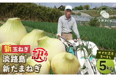 【新たまねぎ】【訳あり】今井ファームの淡路島たまねぎ 5kg【サイズ混合S～2L】【発送時期2024年4月下旬～6月上旬頃】