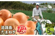 【訳あり】今井ファームの淡路島たまねぎ 5kg【サイズ混合S～2L】