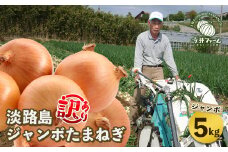 【訳あり】今井ファームのジャンボ淡路島たまねぎ 5kg【2L～3L】
