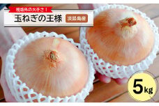 玉ねぎの王様 5キロ