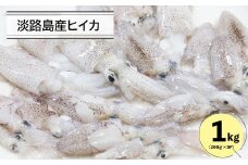淡路島産ヒイカ 1キロ