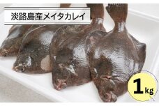 淡路島産メイタカレイ １キロ