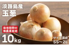 淡路島玉葱 10kg 【栽培期間中、無農薬栽培】サイズ混合SS～2L