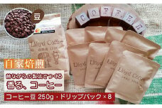 ロイドコーヒースペシャルブレンド（豆・ドリップパックセット）