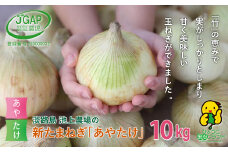 【新たまねぎ】淡路島　池上農場の「あやたけ」10kg【発送時期：2026年3月下旬～5月頃】