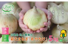 【新たまねぎ】淡路島　池上農場の「あやたけ」5kg【発送時期：2026年3月下旬～5月頃】