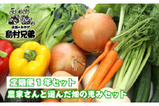 【定期便１年セット】農家さんと選んだ畑の恵みセット