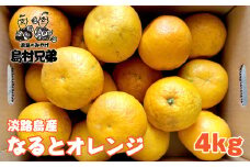 淡路島産　淡路島なるとオレンジ　4ｋｇ