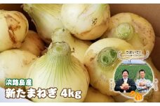 淡路島産　新たまねぎ　4ｋｇ【発送時期：2026年3月～5月頃】