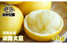 淡路島産　淡路文旦　4ｋｇ