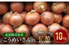 こうめいさんの玉葱10kg