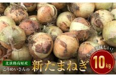 【新たまねぎ】こうめいさんの玉葱10kg【発送時期：2026年4月中旬～6月上旬頃】