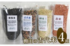 棚田の古代米セット(4品種)