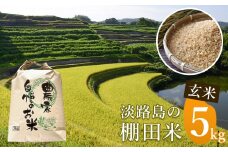 《玄米》淡路島の棚田米 ５kg