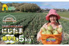 まるでフルーツ？！淡路島産ブランド新玉ねぎ 極早生 「にじたま」5kgダンボール入り【発送時期2025年2月中旬～4月頃】