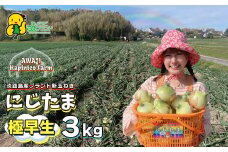 まるでフルーツ？！淡路島産ブランド新玉ねぎ 極早生 「にじたま」3kgダンボール入り【発送時期2025年2月中旬～4月頃】