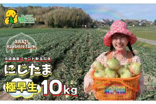 まるでフルーツ？！淡路島産ブランド新玉ねぎ 極早生 「にじたま」10kgダンボール入り【発送時期2025年2月中旬～4月頃】