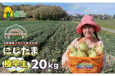 まるでフルーツ？！淡路島産ブランド新玉ねぎ 極早生 「にじたま」20kgダンボール入り【発送時期2025年2月中旬～4月頃】