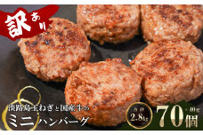 訳アリ 淡路島玉ねぎと国産牛のミニハンバーグ2.8kg　40ｇ×70個