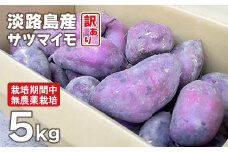 【訳アリ】淡路島産サツマイモ 5kg【栽培期間中、無農薬栽培】