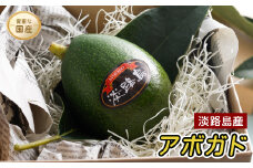 淡路島産 アボカド