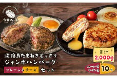 淡路島たまねぎどっさりジャンボハンバーグ プレーン＆チーズセット 200g×10個　淡路島 ハンバーグ 冷凍