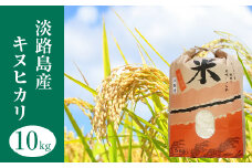 淡路島産　キヌヒカリ　10kg