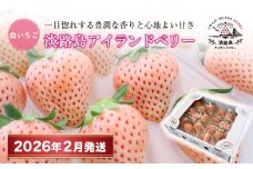 淡路島アイランドベリー 白苺淡雪【2026年2月発送予約受付・お届け日指定不可】